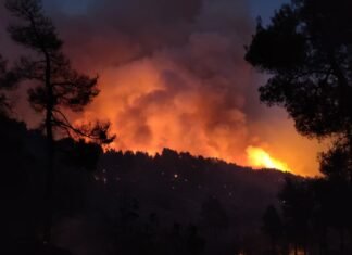 Los bomberos de Alicante se unen a la extinción de los incendios forestales de la Vall d´Ebo