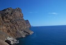 Medio Ambiente celebra los días mundiales de los océanos y las tortugas marinas en los espacios naturales protegidos de Murcia