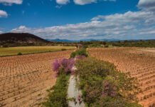 Unas 300.000 personas utilizaron las vías verdes de la Región de Murcia durante la primera mitad del año