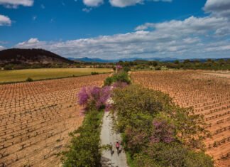 Unas 300.000 personas utilizaron las vías verdes de la Región de Murcia durante la primera mitad del año