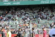 El Elche se prepara ante el reto de luchar contra los leones del Athletic de Bilbao el domingo 11 en el Martínez Valero