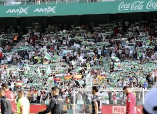 El Elche se prepara ante el reto de luchar contra los leones del Athletic de Bilbao el domingo 11 en el Martínez Valero