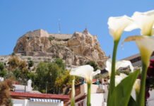 Seis fiestas populares de Alicante son declaradas Bien de Interés Local