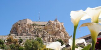 Seis fiestas populares de Alicante son declaradas Bien de Interés Local