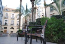 Las elevadas temperaturas obliga al Ayuntamiento de Alicante a prorrogar la lucha contra las cucarachas