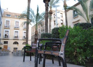 Las elevadas temperaturas obliga al Ayuntamiento de Alicante a prorrogar la lucha contra las cucarachas