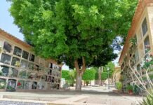 La Comunidad Valenciana acumula oficialmente 10.053 muertos ocasionados por el virus COVID