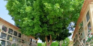 La Comunidad Valenciana acumula oficialmente 10.053 muertos ocasionados por el virus COVID