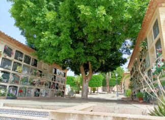 La Comunidad Valenciana acumula oficialmente 10.053 muertos ocasionados por el virus COVID