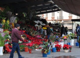 Los alicantinos podrán comprar flores el 1 de noviembre en los puestos del Mercado Central de la ciudad