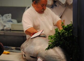 Labora oferta a través de su portal web más de 2.700 puestos de trabajo en la Comunidad Valenciana