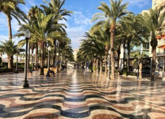 Un millar de menores y familias vulnerables reciben ayuda social desde el Ayuntamiento de Alicante