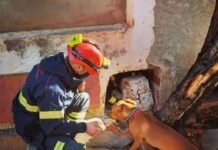 Un bombero de la unidad canina de Alicante salva la vida de un vecino en las Lagunas de Rabasa