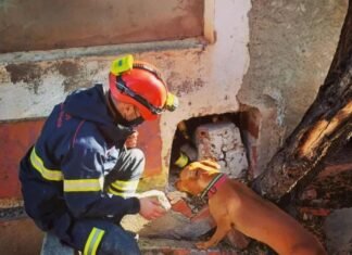 Un bombero de la unidad canina de Alicante salva la vida de un vecino en las Lagunas de Rabasa