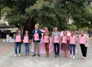 Alicante instala contenedores de color rosa para colaborar en la lucha contra el cáncer