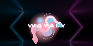 WAYALY, el primer «MARKETPLACE» 100% DEFI