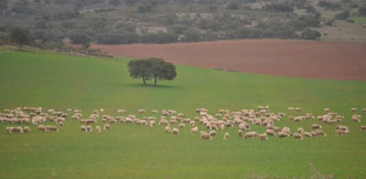 Carlos Mazón recomienda a los valencianos consumir productos criados y cultivados en las tres provincias de la Comunidad