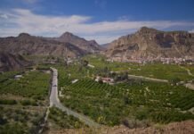 Transición Ecológica amplía hasta el 16 de junio el periodo de quemas de restos vegetales agrícolas a menos de 500 metros de terreno forestal