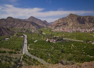 Empresarios y profesionales de Murcia analizan estrategias para aumentar las reservas online en establecimientos de turismo rural