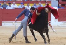 La Escuela Taurina de Alicante sitúa a dos de sus alumnos en importantes certámenes de promoción