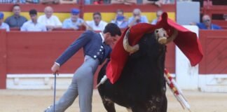 La Escuela Taurina de Alicante sitúa a dos de sus alumnos en importantes certámenes de promoción