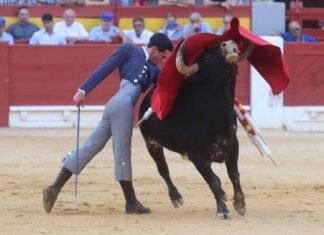 La Escuela Taurina de Alicante sitúa a dos de sus alumnos en importantes certámenes de promoción