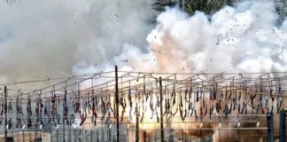 Hermanos Ferrández se alza con el premio a la mejor mascletá de las Hogueras de San Juan de Alicante 2023