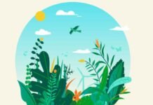 Alicante presenta el programa de actividades del Día Internacional de los Museos