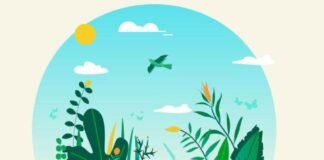 Alicante presenta el programa de actividades del Día Internacional de los Museos