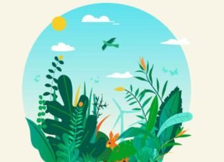 Alicante presenta el programa de actividades del Día Internacional de los Museos