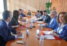 La PAC post-2027: Europa sienta las bases de una agricultura más estratégica y sostenible