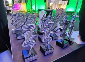 El Festival Internacional de Cine de Alicante cierra su 20ª edición anunciando a los ganadores de los premios Tesela