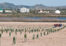 La Comunidad de Murcia lidera un proyecto europeo que confirma la eficacia de combatir la falta de agua con su reutilización