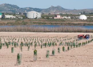 La Comunidad de Murcia lidera un proyecto europeo que confirma la eficacia de combatir la falta de agua con su reutilización