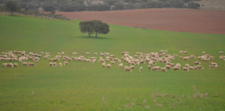 Más de 2.000 personas se formarán y trabajarán en los 113 talleres impulsados por Labora en la Comunidad Valenciana