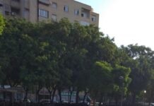 La Plaza de la Viña de Alicante recrea un córner del primer estadio de fútbol del Hércules C.F.