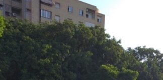 La Plaza de la Viña de Alicante recrea un córner del primer estadio de fútbol del Hércules C.F.