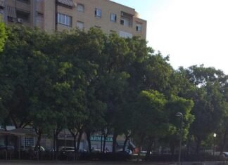 La Plaza de la Viña de Alicante recrea un córner del primer estadio de fútbol del Hércules C.F.