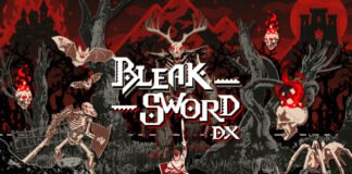 Análisis de BLEAK SWORD DX
