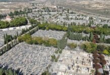 Alicante facilita a través de una web la localización de una sepultura en el Cementerio Municipal de forma inmediata