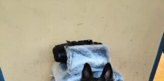 Nuevo golpe contra la droga en Alicante de la mano de su policía local