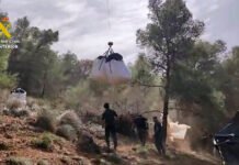 Nueve detenidos por deforestar dos hectáreas de un paraje natural en Málaga para plantar marihuana