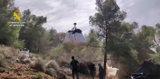 Nueve detenidos por deforestar dos hectáreas de un paraje natural en Málaga para plantar marihuana