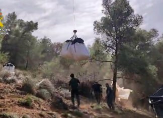 Nueve detenidos por deforestar dos hectáreas de un paraje natural en Málaga para plantar marihuana