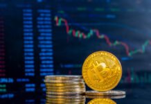 Las criptomonedas: una burbuja especulativa que amenaza la economía