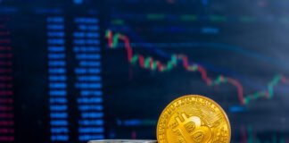 Las criptomonedas: una burbuja especulativa que amenaza la economía