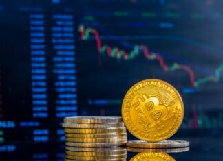 Las criptomonedas: una burbuja especulativa que amenaza la economía
