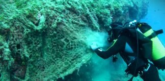 Medio Ambiente retira 500 kilos de redes de pesca en el Parque Natural de Serra Gelada para la restauración de ecosistemas