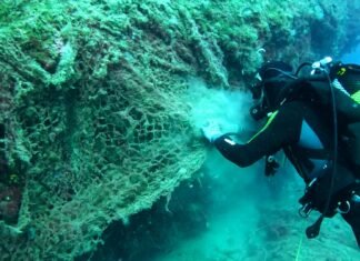 Medio Ambiente retira 500 kilos de redes de pesca en el Parque Natural de Serra Gelada para la restauración de ecosistemas