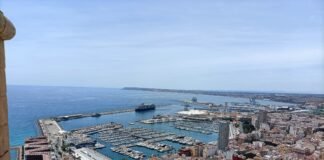 Alicante ofrece El Palmeral como un reclamo turístico y pulmón de la ciudad tras las inversiones y mejoras realizadas